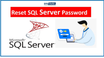 Reset SQL Server Password